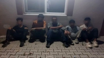 Kırklareli'nde polis ekipleri 53 kaçak göçmen yakalandı!