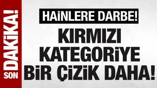 Kırmızı kategoride aranan PKK'lı terörist Ramazan Aktaş etkisiz hale getirildi