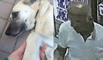 Köpeği aracına bindiren servis şoförüne cinsel saldırı iddiasıyla gözaltı