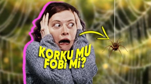 Korku ve Fobinin Birbirinden Farkı Ne?