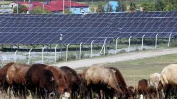 Köylerdeki sondajlı suyun maliyeti güneş enerjisiyle büyük oranda düştü