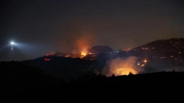 Manisa Saruhanlı'daki orman yangınına ilişkin 1 kişi tutuklandı