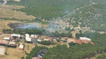 Manisa'da orman yangını; 5 dönüm alan zarar gördü