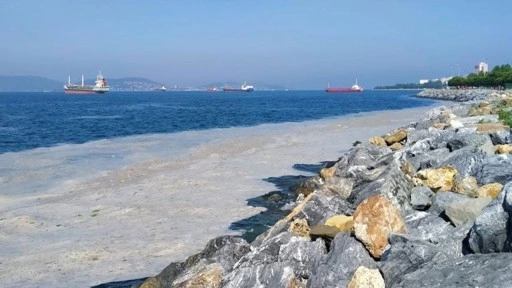 Marmara’da endişe artıyor: Adalar’da başladı, Moda’ya ulaştı