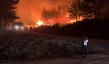 Marmaris'te orman yangınında 2'nci gün: Havadan müdahale başladı