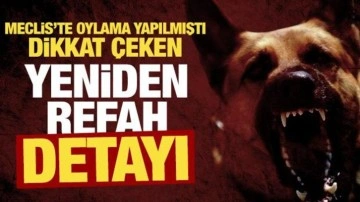 Meclis'teki sokak hayvanları oylamasında dikkat çeken Yeniden Refah Partisi detayı