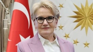 Meral Akşener'den tekzip talebi: Oyum...