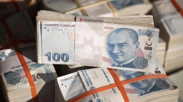 Merkez Bankası'ndan yeni TL adımı