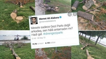 Mesele yine ağaç değil: İBB kesiyor 'çevreciler' izliyor