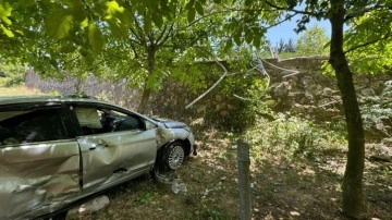 Meyve bahçesine düşen otomobilin sürücüsü yaralandı