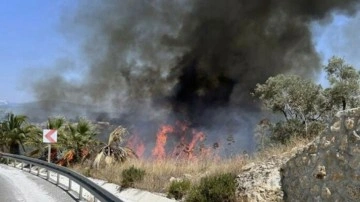 Milas-Bodrum Havalimanı kavşağında çıkan yangın devam ediyor