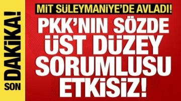 MİT'ten nokta operasyon! PKK'nın sözde İran sorumlusu etkisiz hale getirildi