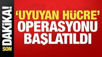 MİT 'Uyuyan Hücre' operasyonunu başlattı