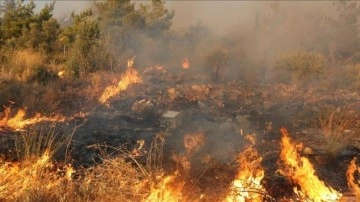 Muğla'da bu yıl çıkan 385 yangında 1400 hektar tarım ve orman alanı zarar gördü