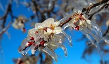 Muğla için zirai don uyarısı