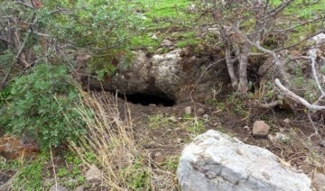 Muğla'da 'kaçak' tarihi eser kazısına suçüstü