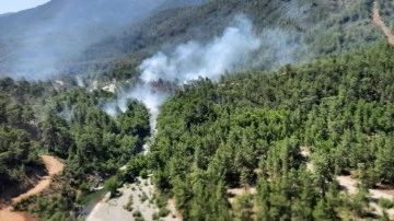 Muğla'da orman yangını çıktı! Havadan ve karadan müdahale sürüyor