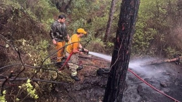 Muğla’nın Marmaris ilçesinde yıldırım kaynaklı orman yangını meydana geldi