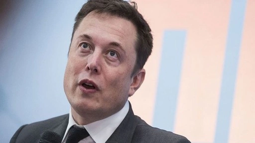 Musk'ın AfD'yi destekleyen yazısı Almanya'yı karıştırdı