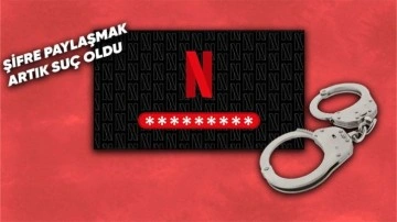 Netflix Şifrenizi Paylaştığınız İçin Hapis Yatabilirsiniz