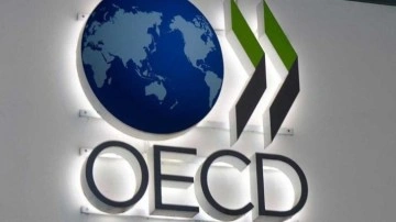 OECD, Türkiye için 2024 büyüme tahminini düşürdü