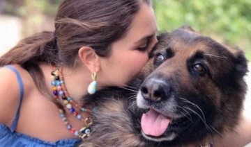 Öldürülen 'Nero' isimli köpeğin sahibi 'iftira' davasında beraat etti