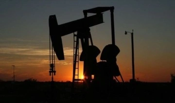 OPEC küresel petrol üretiminin kasımda arttığını duyurdu