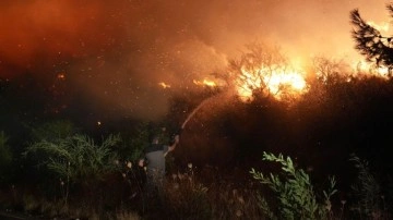 Orman yangınlarına karşı 'üç 30 kuralı' uyarısı