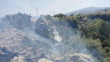 Osmaniye Düziçi'nde orman yangını: Havadan müdahale ediliyor