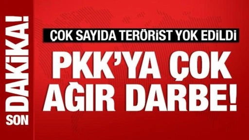 PKK'ya ağır darbe! 11 terörist yok edildi