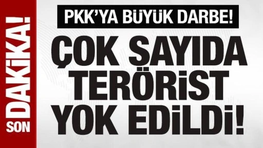 PKK'ya büyük darbe! 13 terörist yok edildi