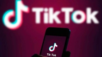 Prof. Dr. Levent Eraslan: "Tiktok için acil tedbirler alınmalı"