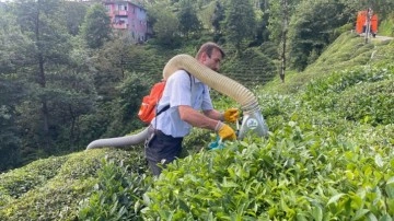 Rizeli mucit yaptığı çay toplama makinesi ile çayları taşıma sorununu ortadan kaldırdı