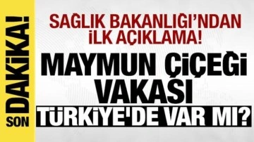 Sağlık Bakanlığı'ndan 'M çiçeği virüsü' açıklaması: Türkiye'de rastlandı mı?