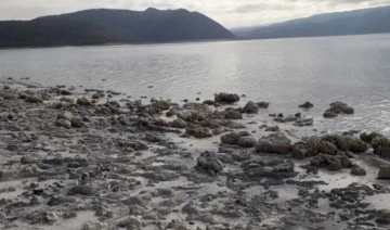 Salda Gölü'nde endişe veren görüntüler: Kararma yayılıyor