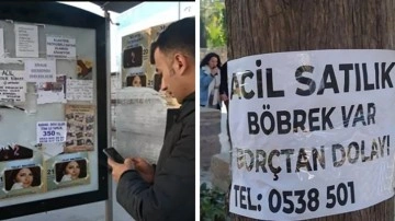 'Satılık böbrek' var! Bağışçıdan çok böbrek satmak isteyen var geçinmek için...