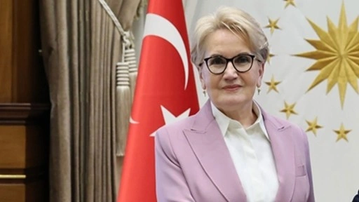 Selçuk Özdağ'ın iddiaları! İYİ Partili Metin Ergün yanıt verdi, Meral Akşener paylaştı