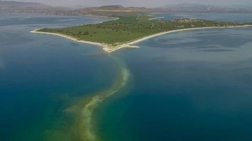 Serinlemek için Van Gölü'ne giren 2 kişi boğuldu!