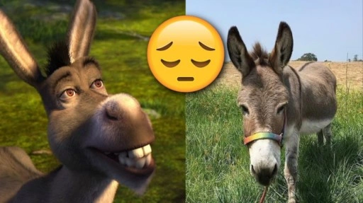 Shrek'teki Eşek'e İlham Veren Eşek Perry, Hayatını Kaybetti