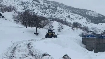 Şırnak'ta 20 köy ve 8 mezra yolu kardan kapandı! Valilikten uyarı