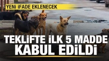 Sokak hayvanları düzenlemesi Meclis'te! İlk 5 madde kabul edildi! Yeni ifade eklenecek