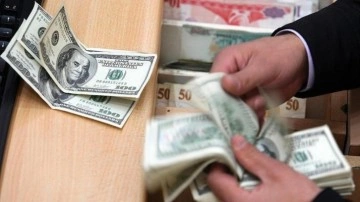 Son 20 yılda Türkiye UDY'lerden 262 milyar dolarlık pay aldı