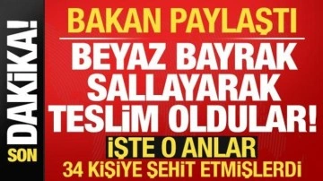 Son dakika: Bakan Yerlikaya duyurdu! Görüntüleri paylaştı: Beyaz bayrakla teslim oldular