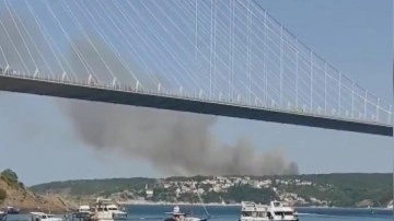 Son Dakika: Beykoz'da orman yangını!