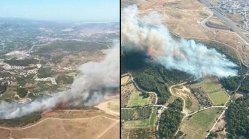 Son dakika: İzmir'de orman yangını