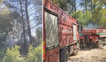 Son Dakika: Milas'ta orman yangını... Havadan ve karadan müdahale ediliyor