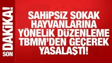 Son dakika: Sahipsiz sokak hayvanlarına yönelik düzenleme TBMM'den geçerek yasalaştı