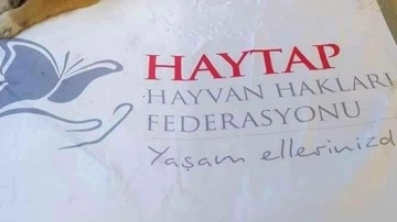 Sözde ‘hayvan’ federasyonu İslam’ı ve Kurban Bayramı’nı hedef aldı! Yine boş durmadılar