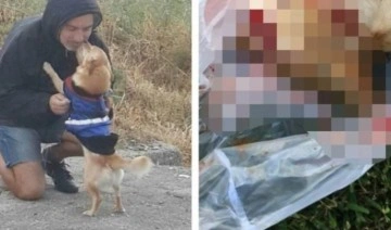 Tarçın isimli köpeğin sahibi Göksel Kuyruk adalet arayışında