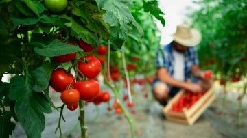 Tarımsal girdi enflasyonu ekimde yüzde 40,11 oldu